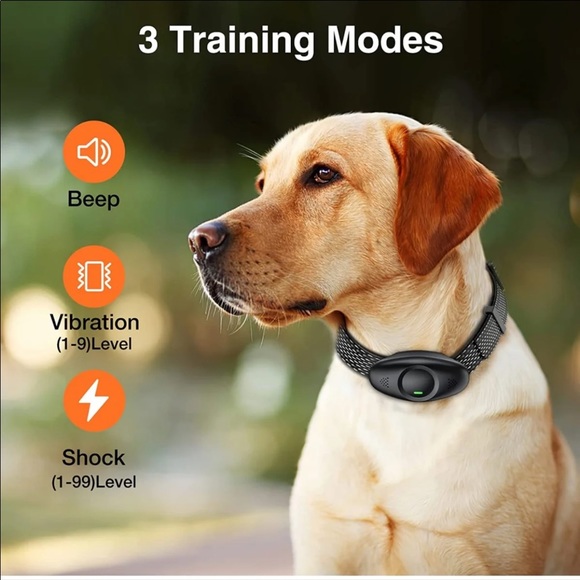 Waterproof Dog Training Collar, Rechargeable Shock Collar for Medium, Large Dogs - Picture 8 of 12